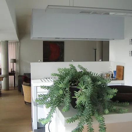 Apartment Dream Loft